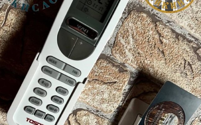 Отель Викинг