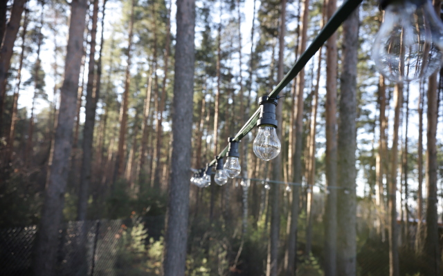 Гостевой дом Дом у леса