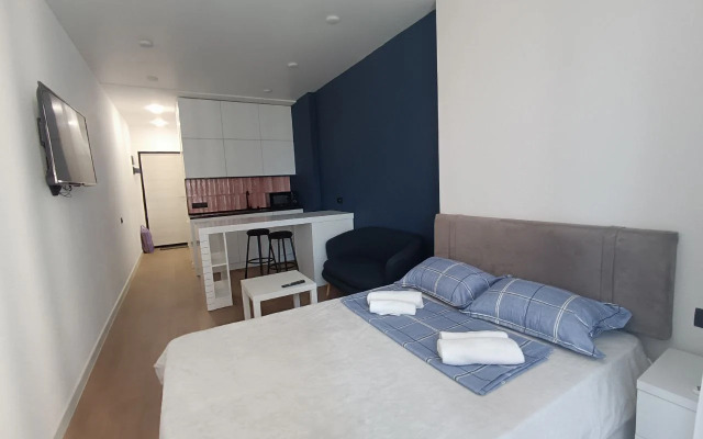Uyutnaya Studiya dlya Dvoikh Apartments
