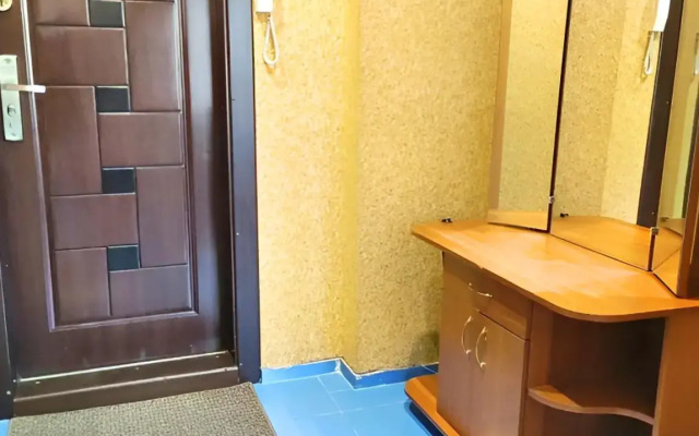 Uyutnaya Svetlaya v Tsentre Flat