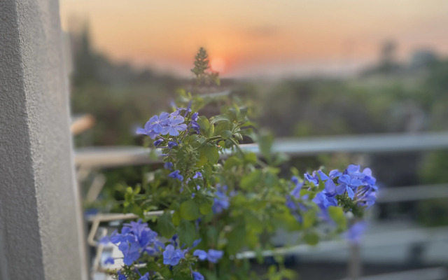 Aetheria Roof Resort Apartments