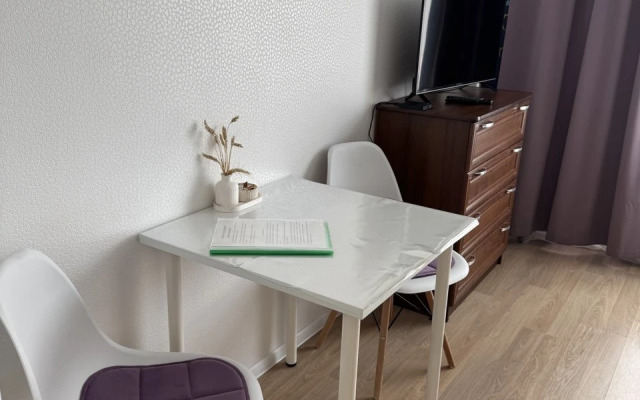 Uyutnaya studiya Flat