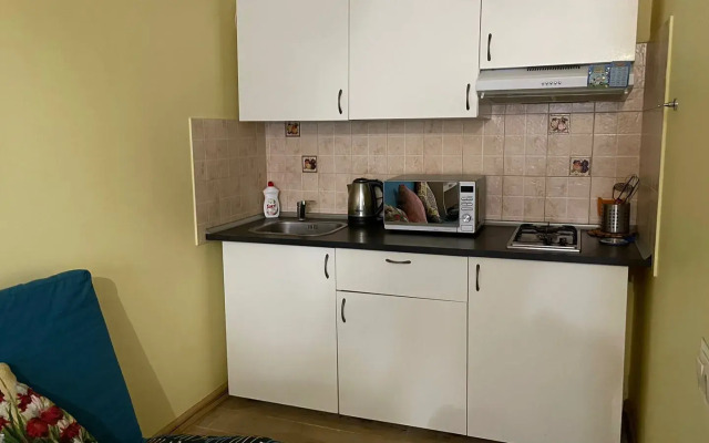 Gostevoy dom Gavan-Sochi Flat