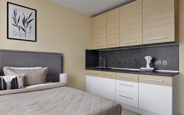 Studiya Na Vasilyevskom Ostrove Apartments