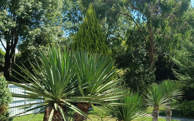Mampre Villa