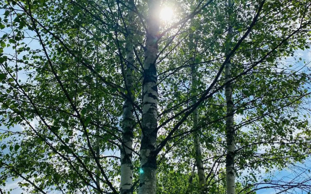 Dom S Kovrom Private house