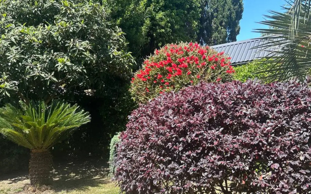 Apelsin Guest House