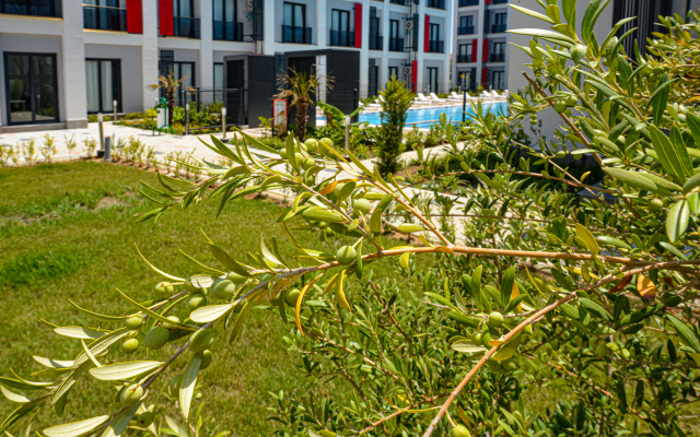 C Suites Antalia Airport Hotel