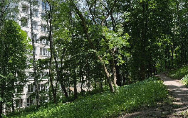 Apartment Krasnoflotskiy