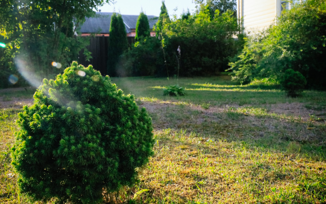 Мини-Отель Гостилицы