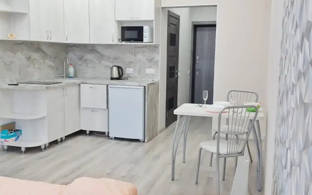 Studiya na Karamzina Flat