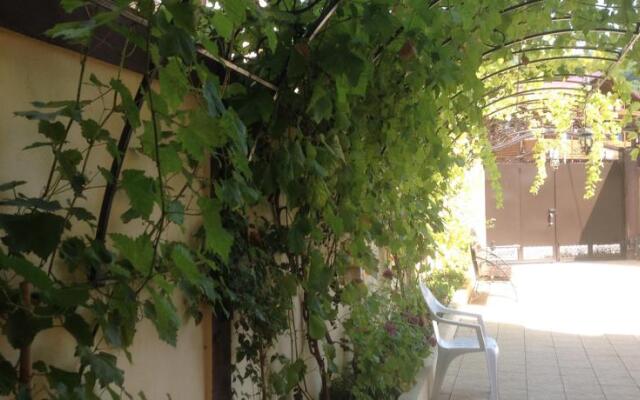 Violetta Guest House