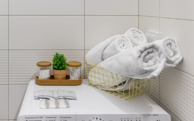 Studiya V Tsentre Flat