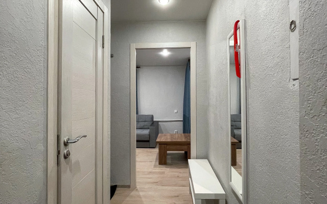 Квартира Большая однушка на Ленина 11А