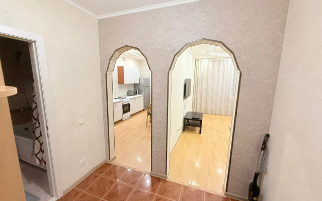 Vozle Kazan-Areny Apartments