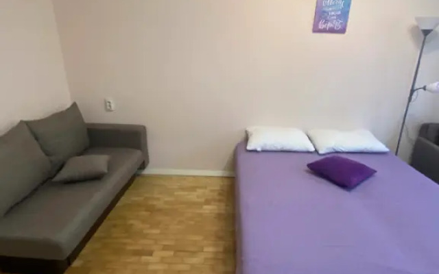 Uyutnaya u podnozhya gory Zheleznaya Flat