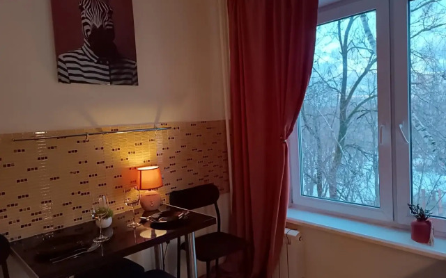 Uyutnaya Dvukhkomnatnaya Solnechnaya Savanna Flat