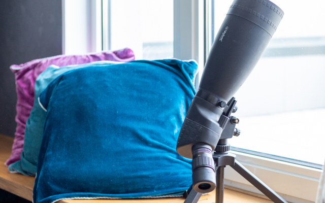 Квартира Питер на Ладони