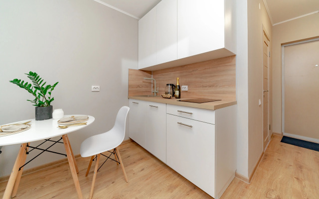 Апартаменты Уютная студия 1743