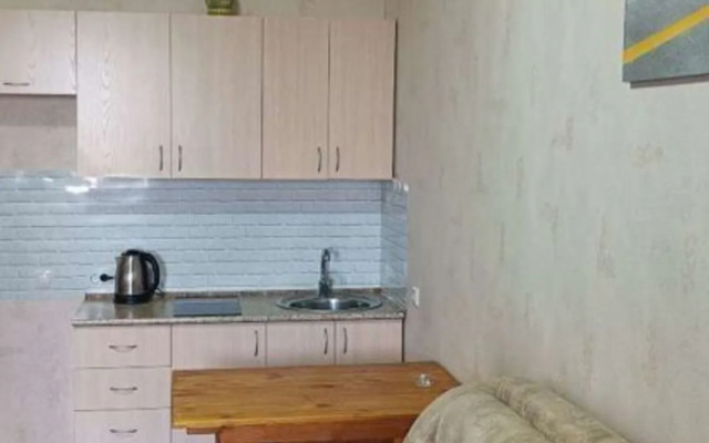 Квартира однокомнатная на Ивана Черных 66