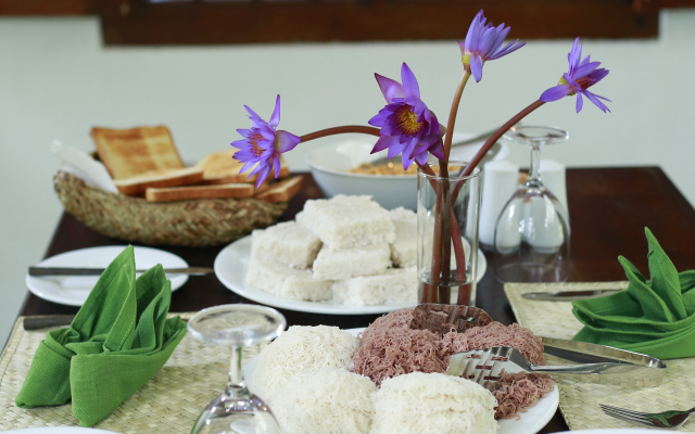 Ceylon Olive Villa