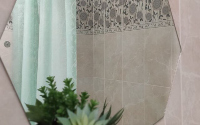 Апартаменты на Водников