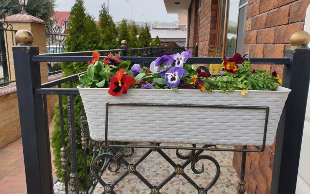 Celentano Mini-Hotel