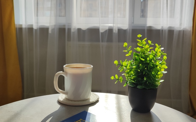 Solnechnoye Nastroyenie Flat