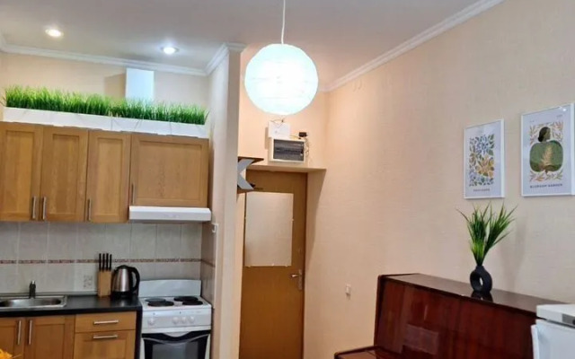 Апартаменты Двухкомнатные в Пocелке Южный