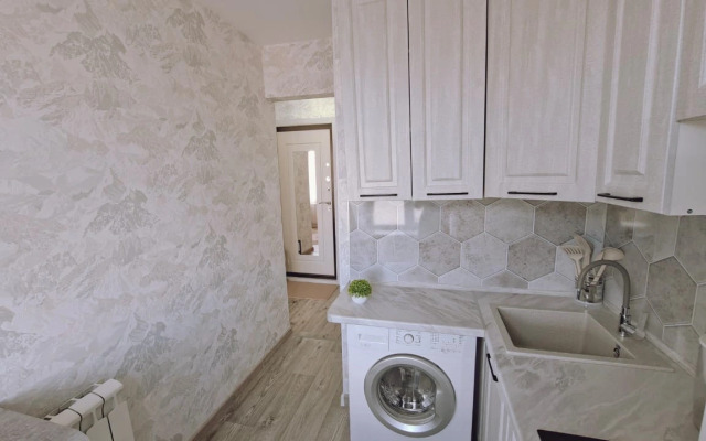 Odnomestnye apartamenty v tsentre Flat