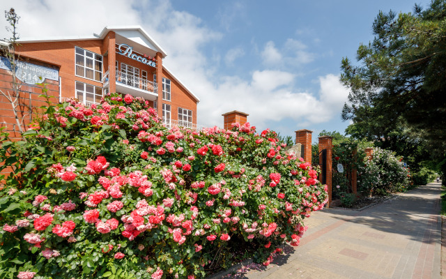 Assol Guest House