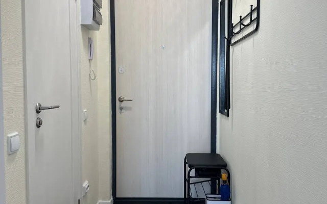 Uyutnaya Studiya Murinskaya Doroga Apartments