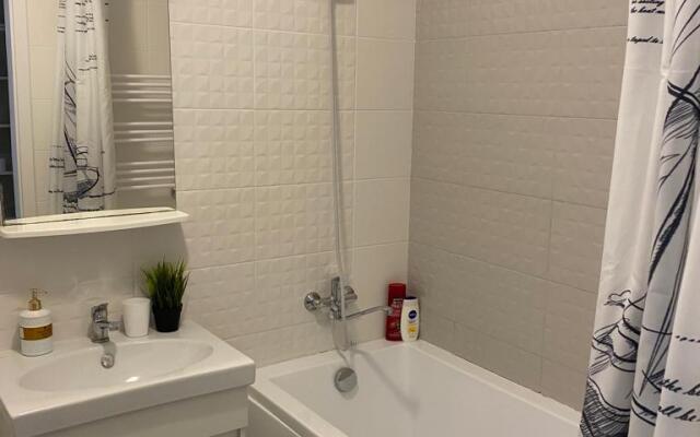 Silver Star Na Gorykogo 96 Flat