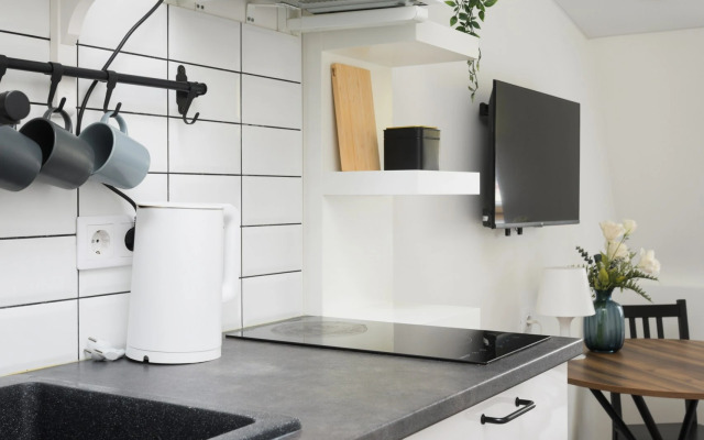 Квартира Студия в мансарде с видом у метро Чернышевская