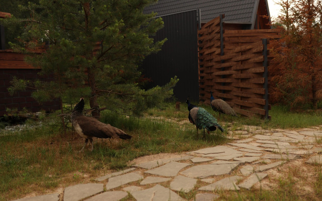 Шале Варилка