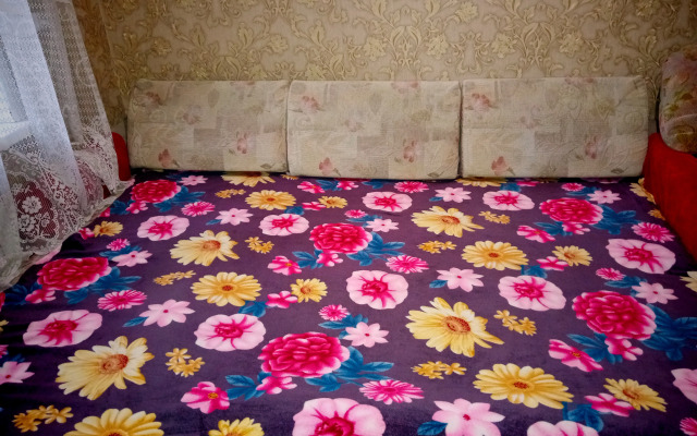 Dvushka V Tsentre Flat