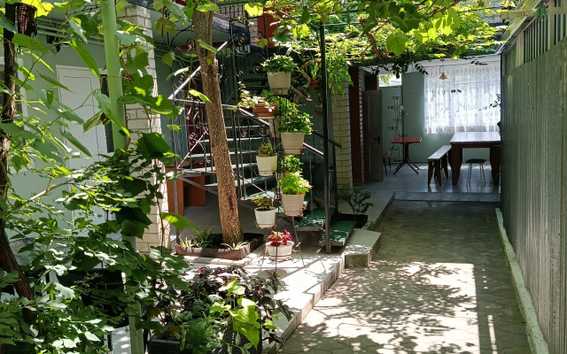 Na Tolstogo 30/1 Guest House