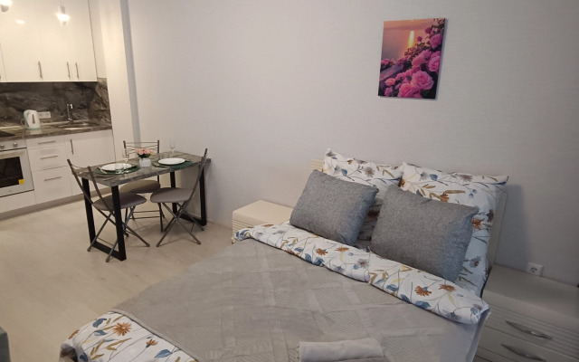 Апартаменты Комфортная студия Green Дом