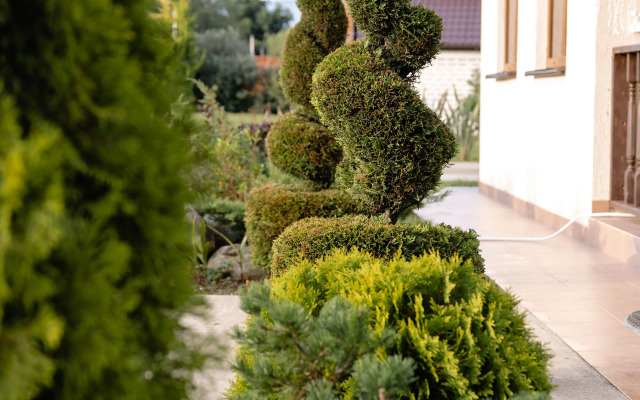 Lavanda Guest house