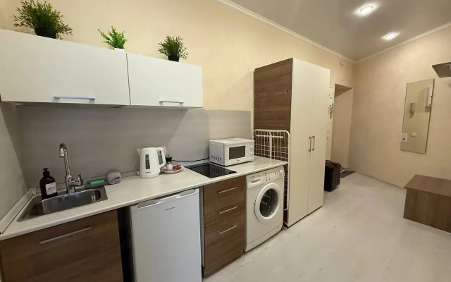 Na Baumana Apartments