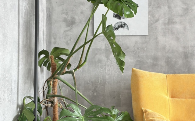 Апартаменты Кузнецкая 71 а