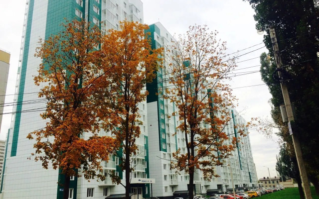 Квартира на Беговой улице 219/1