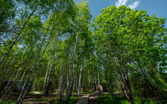 Кемпинг Терруар