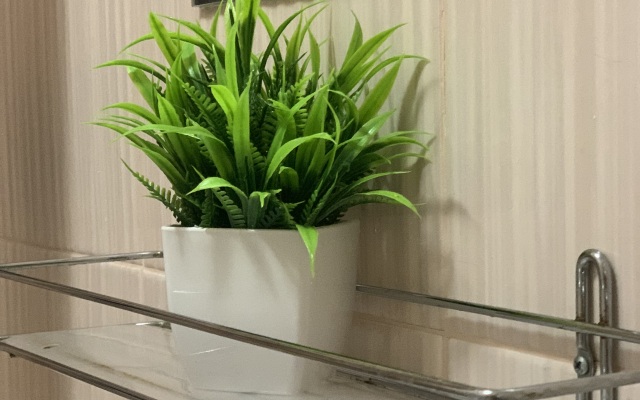 Prekrasnaya Vozle Kristalla Ryadom S Centrom Flat
