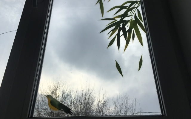 Апартаменты NewStory