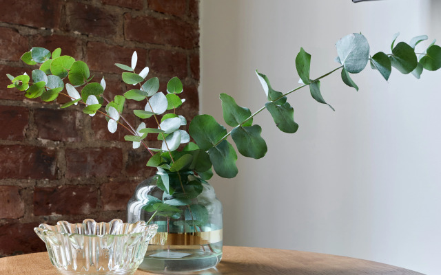 Апартаменты Зимние Фьюжн на Достоевского