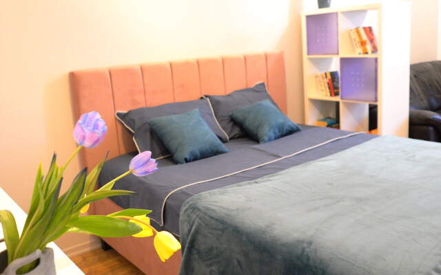 Дизайнерские апартаменты у Центрального парка