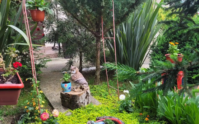 Voyazh Guest House
