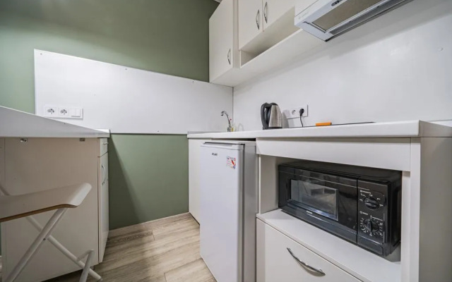 Studiya Na Ulitse Salova, 61 0915 Flat