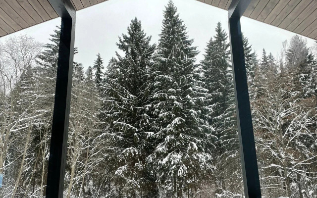 Гостевой дом Хвойный Лес